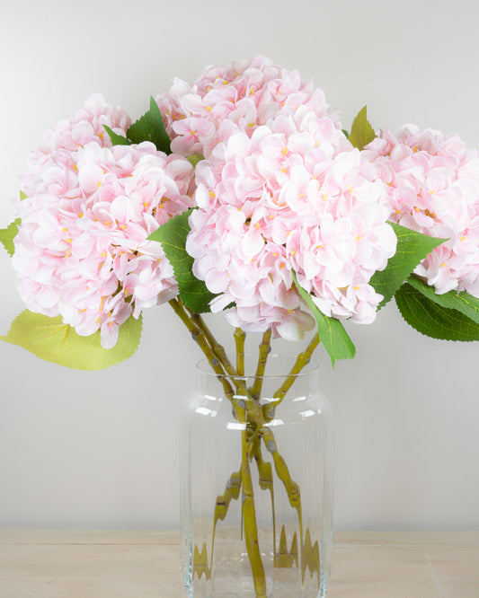 Pastel Spring Hydrangea - Blush