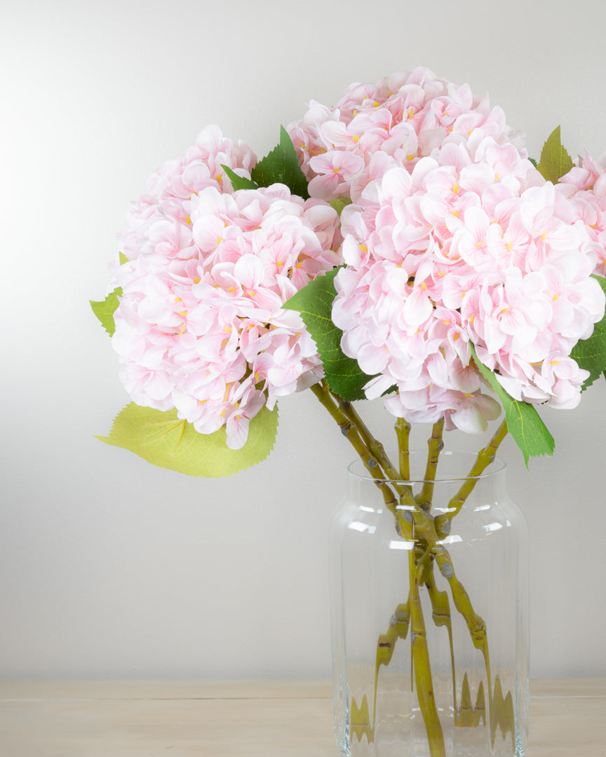 Pastel Spring Hydrangea - Blush