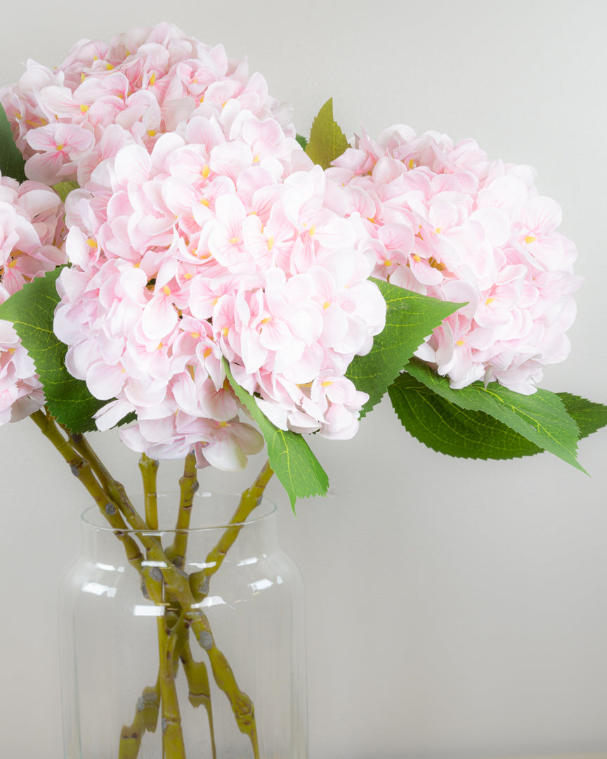 Pastel Spring Hydrangea - Blush