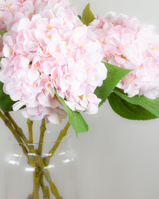 Pastel Spring Hydrangea - Blush