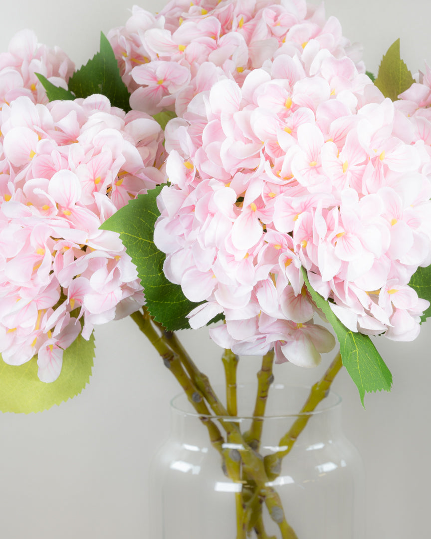 Pastel Spring Hydrangea - Blush