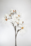 Load image into Gallery viewer, Magnolia Grandiflora Branch
