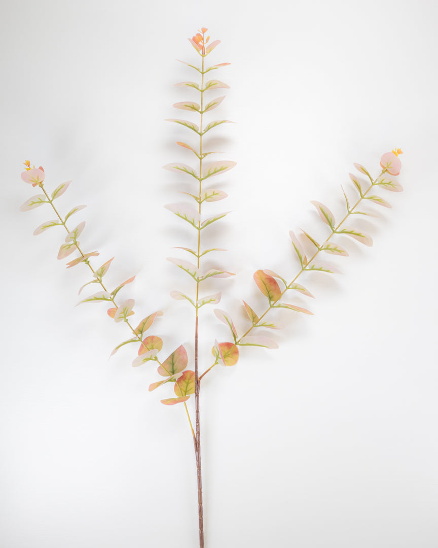 Pink Tipped Eucalyptus Stem