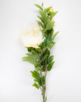 Load image into Gallery viewer, Large Peony Spray (5 x flower heads) Cream
