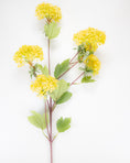 Load image into Gallery viewer, Yellow Viburnum Spray
