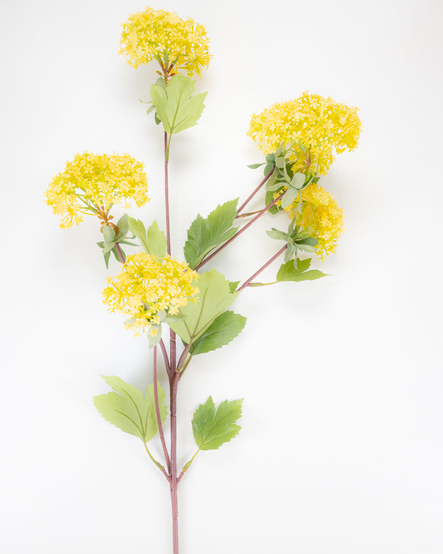 Yellow Viburnum Spray