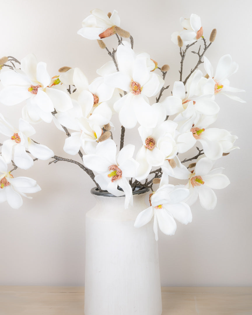 Magnolia Grandiflora Branch