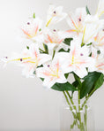 Load image into Gallery viewer, White Lily Stem
