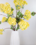 Load image into Gallery viewer, Yellow Viburnum Spray
