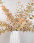 Load image into Gallery viewer, Pink Tipped Eucalyptus Stem
