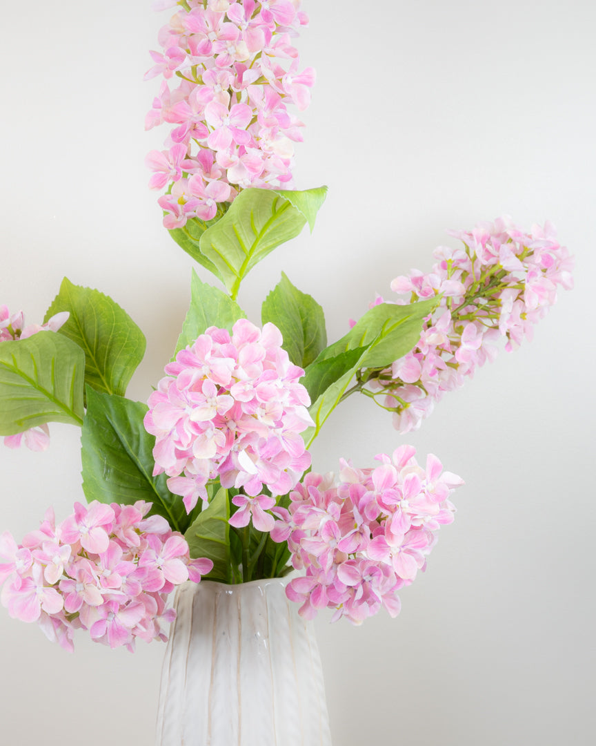 Hydrangea Paniculata - Pink