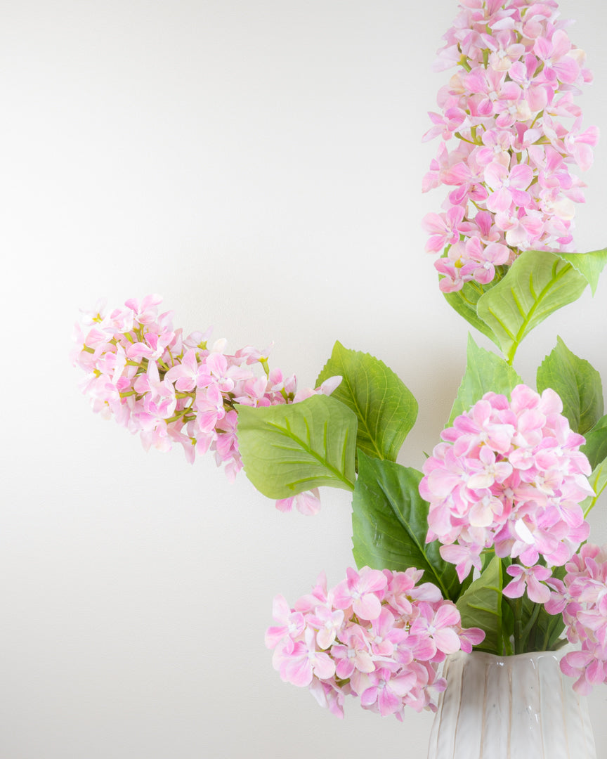 Hydrangea Paniculata - Pink