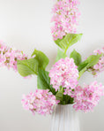 Load image into Gallery viewer, Hydrangea Paniculata - Pink
