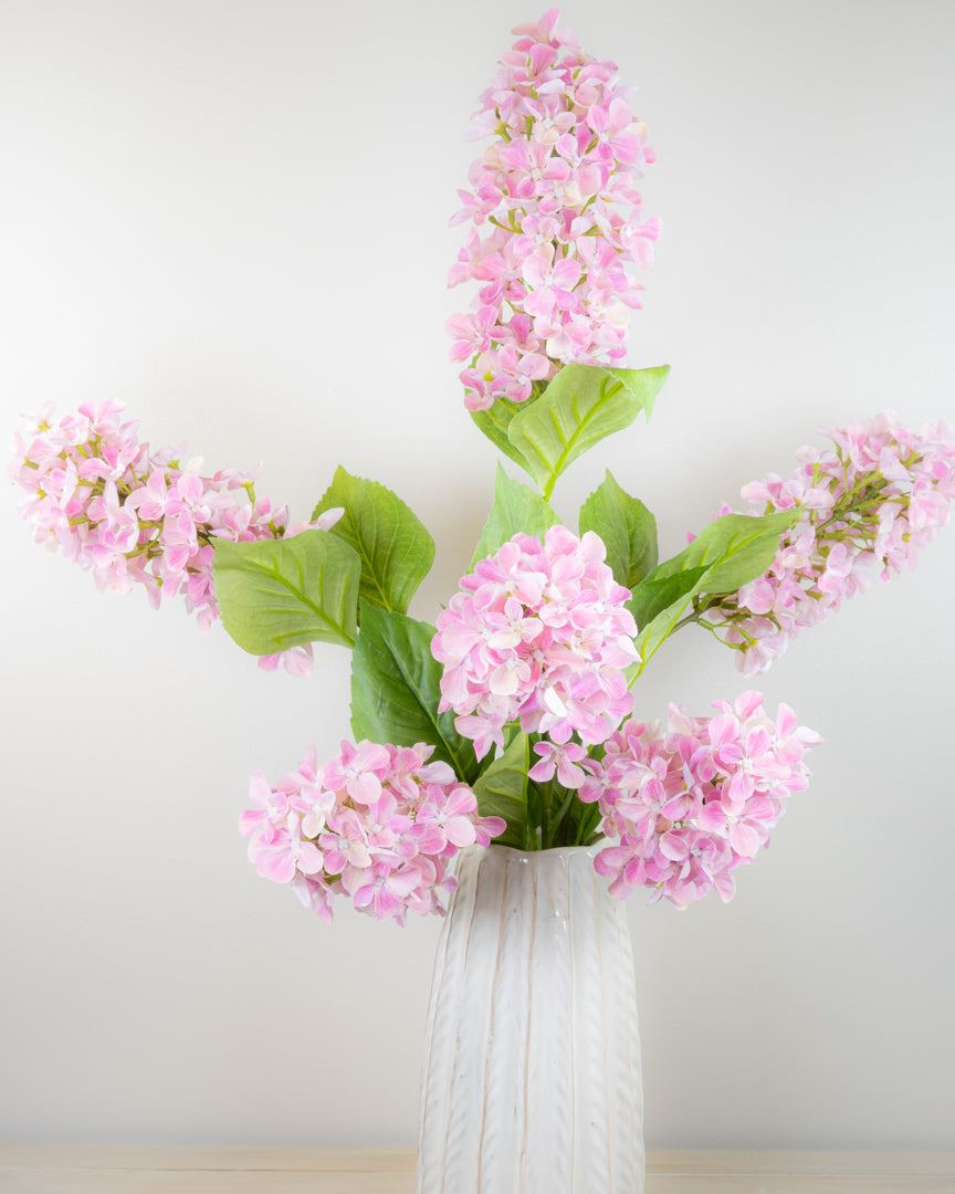 Hydrangea Paniculata - Pink