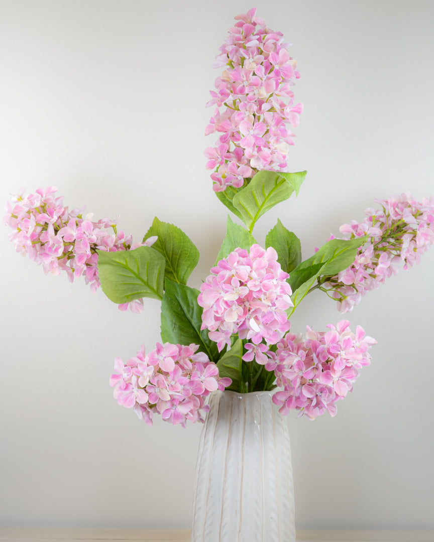 Hydrangea Paniculata - Pink