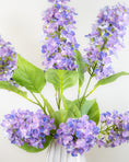 Load image into Gallery viewer, Hydrangea Paniculata - Lilac
