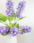 Load image into Gallery viewer, Hydrangea Paniculata - Lilac
