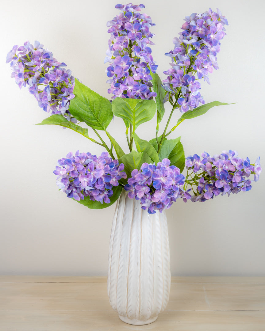 Hydrangea Paniculata - Lilac