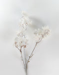 Load image into Gallery viewer, Frosted White Blossom Spray
