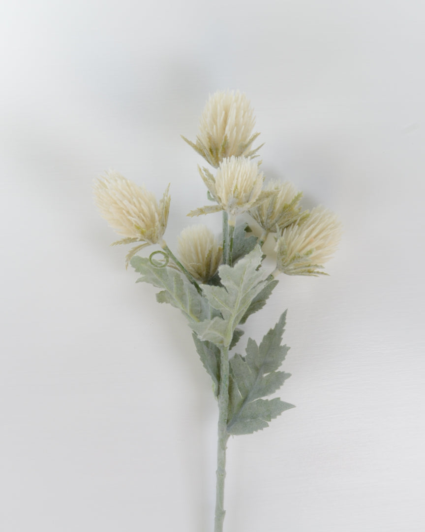 White Flocked Thistle Spray