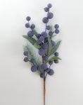 Load image into Gallery viewer, Blueberry Short Bunch
