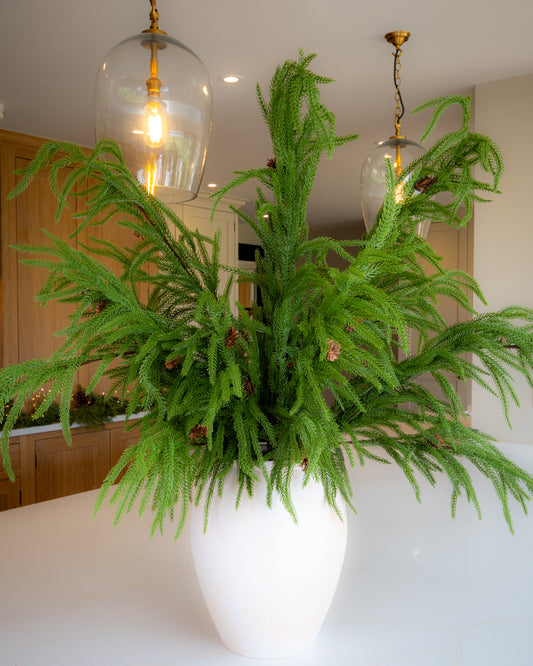 Realistic Weeping Norfolk Pine Branch