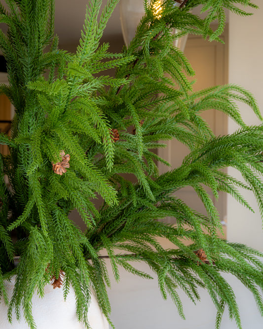 Realistic Weeping Norfolk Pine Branch