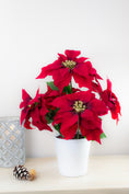 Load image into Gallery viewer, Red Poinsettias in Pot
