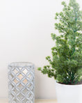 Load image into Gallery viewer, Spruce Tree In Pot
