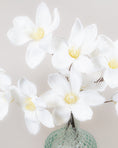 Load image into Gallery viewer, Winter White Magnolia Stem
