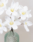 Load image into Gallery viewer, Winter White Magnolia Stem
