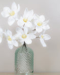 Load image into Gallery viewer, Winter White Magnolia Stem
