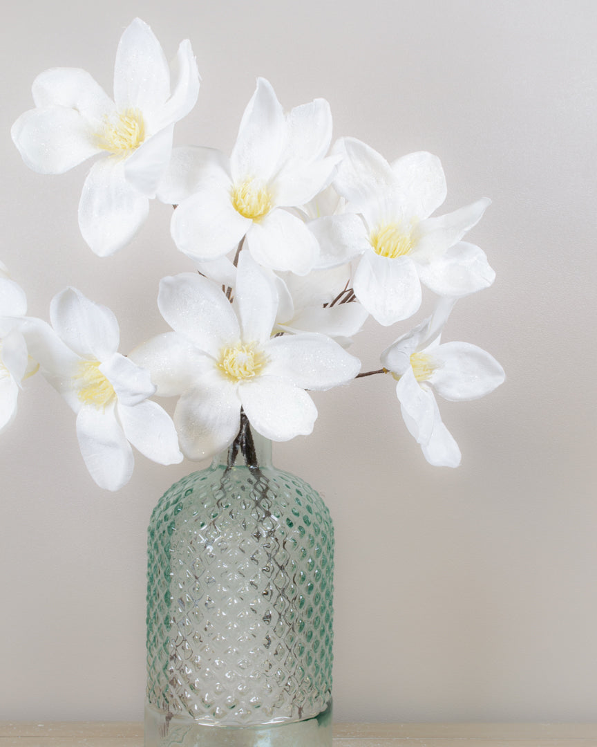 Winter White Magnolia Stem