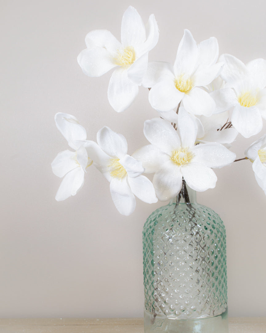 Winter White Magnolia Stem