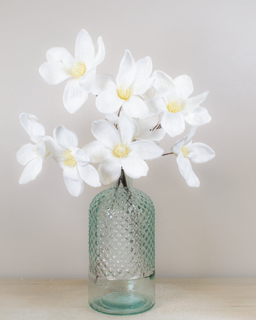 Winter White Magnolia Stem