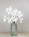 Load image into Gallery viewer, Winter White Magnolia Stem
