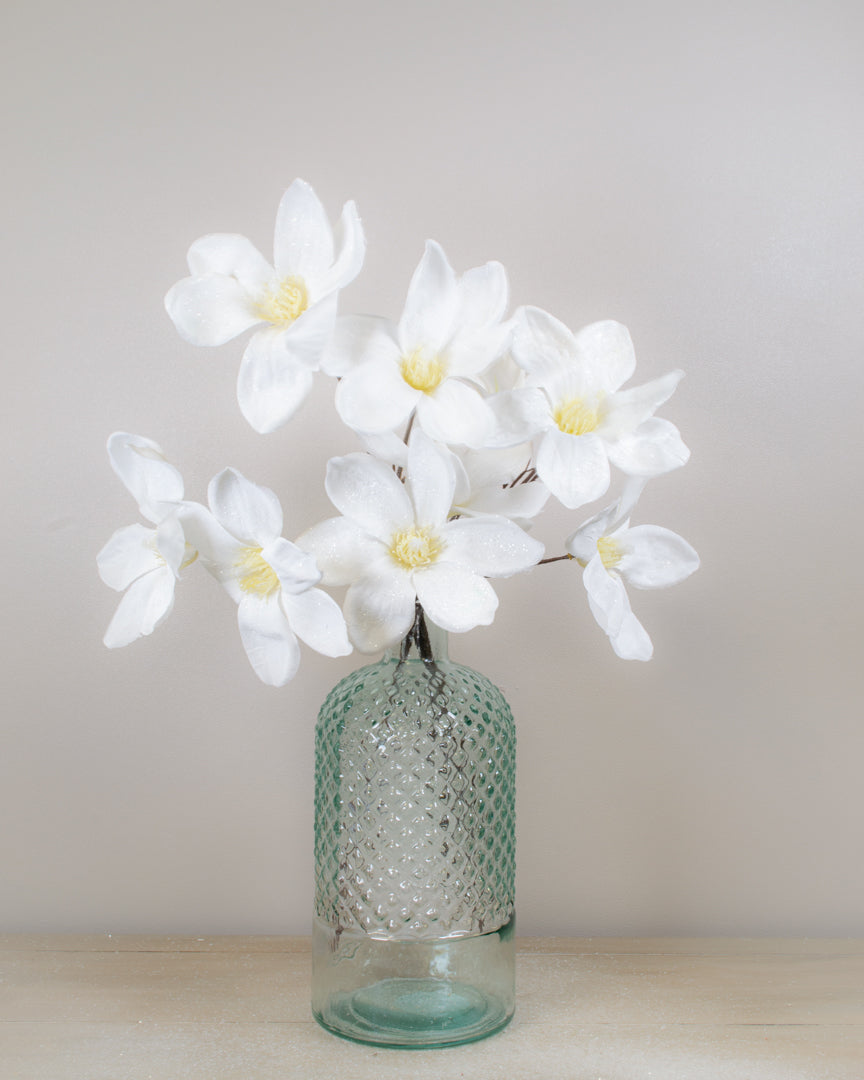 Winter White Magnolia Stem