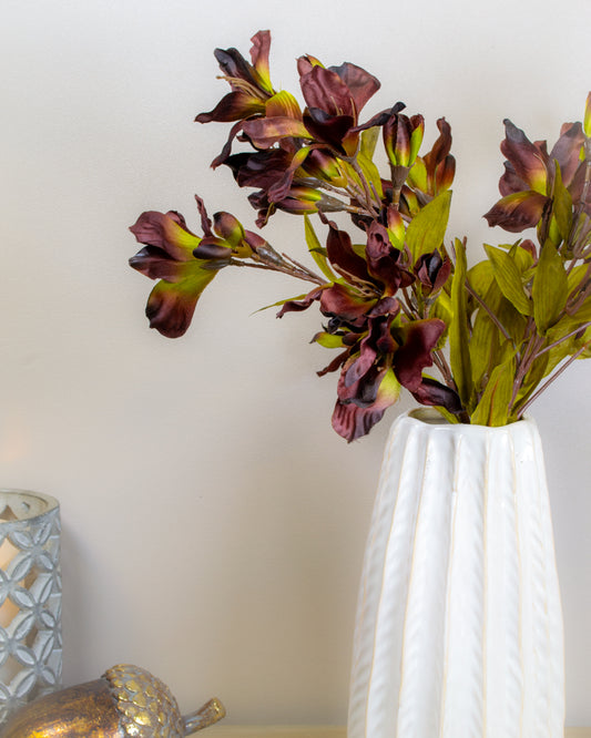 Chocolate Alstroemeria Lily Spray