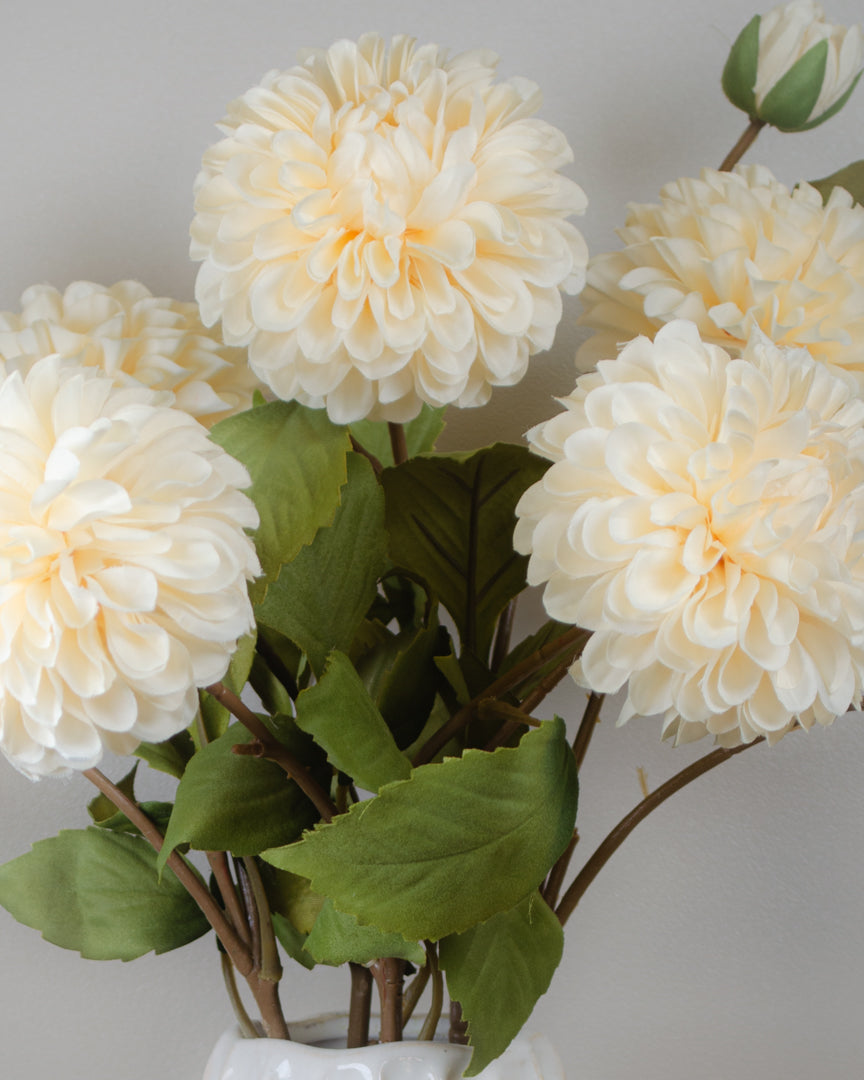 Cream Dahlia Stem