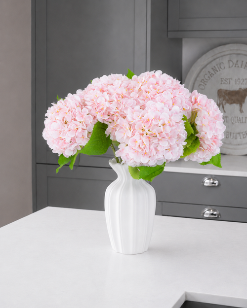 Hydrangea - Blush