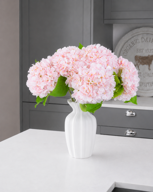 Hydrangea - Blush