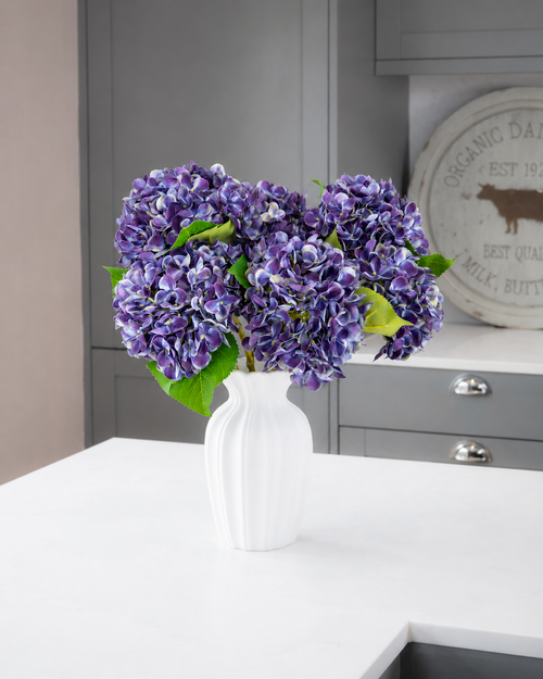 Hydrangea - Mulberry