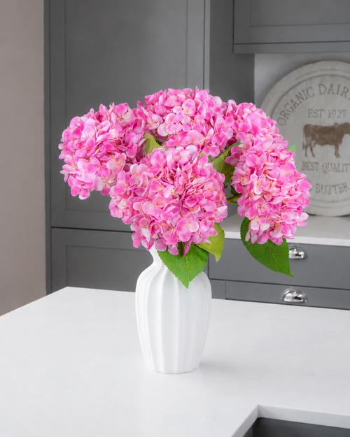 Hydrangea - Pink