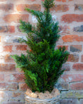 Load image into Gallery viewer, Artificial Realistic Outdoor UV Cedar Tree
