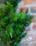 Load image into Gallery viewer, Artificial Realistic Outdoor UV Cedar Tree
