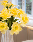 Load image into Gallery viewer, Daffodil Bunch
