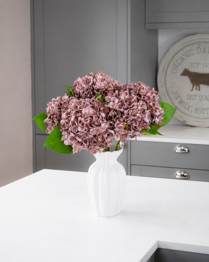 Hydrangea - Mauve