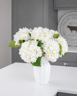 Hydrangea - White