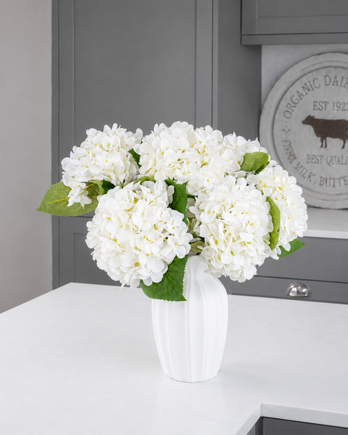 Hydrangea - White