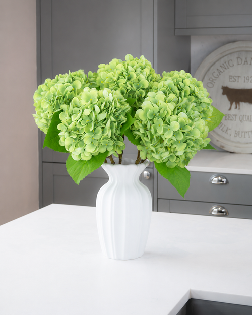 Hydrangea - Green